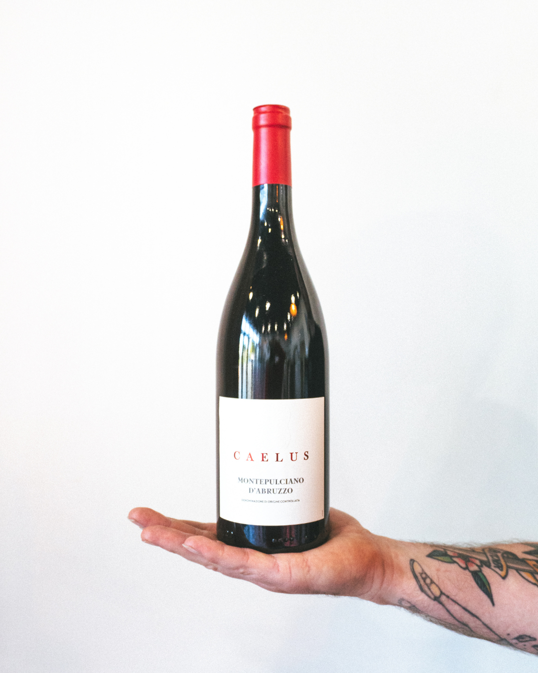 Caelus Montepulciano